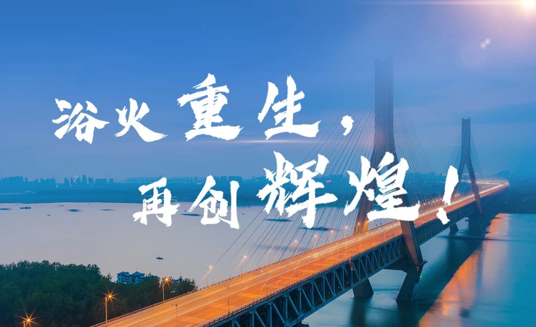 浴火重生，再创辉煌.jpg